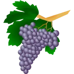 Grape varieties | Indus Appstore | App Icon