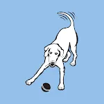 Donovans Dogs | Indus Appstore | App Icon