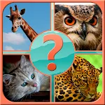 Guess the Animal | Indus Appstore | App Icon