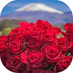 Beautiful flowers pictures | Indus Appstore | App Icon