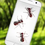 Ants on Screen Funny Joke | Indus Appstore | App Icon