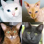 Cats Quiz Guess Popular Breeds | Indus Appstore | App Icon