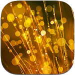 Dream Live Wallpapers | Indus Appstore | App Icon