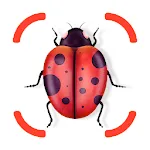 Insect identifier - identity | Indus Appstore | App Icon