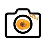 Reduce Camera Apricamera 100kb | Indus Appstore | App Icon