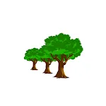 Forest Trees | Indus Appstore | App Icon