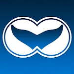 WhaleReport | Indus Appstore | App Icon