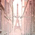 Theme Rain at the Eiffel Tower | Indus Appstore | App Icon