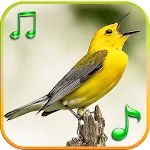 Birds Sounds Ringtones | Indus Appstore | App Icon