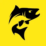 Fishy Live | Indus Appstore | App Icon