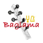 Baglama Tuner - Bağlama / Saz | Indus Appstore | App Icon