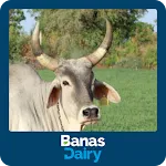 Banas Veterinary Seva | Indus Appstore | App Icon