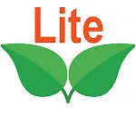 Mirror Lite | Indus Appstore | App Icon