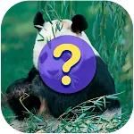 Guess the name of the animals | Indus Appstore | App Icon