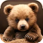 Cute Bear Video Live Wallpaper | Indus Appstore | App Icon