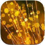 Dream Live Wallpapers | Indus Appstore | App Icon