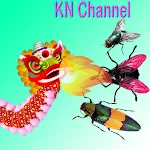 Protect Hive KN Channel | Indus Appstore | App Icon