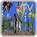 Angel Fish Aquarium TV Live | Indus Appstore | App Icon