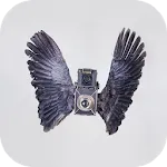 Birds Camera Frames | Indus Appstore | App Icon