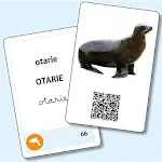 Lecteur Vocabulaire Maternelle | Indus Appstore | App Icon