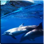 Dolphins +Sound Live Wallpaper | Indus Appstore | App Icon