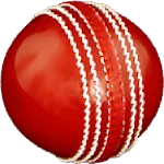 Cricket All-rounder | Practice | Indus Appstore | App Icon