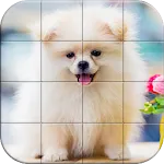 Tile Puzzle Pomeranian Dogs | Indus Appstore | App Icon