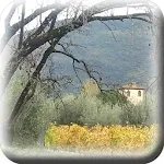 Info Caccia | Indus Appstore | App Icon