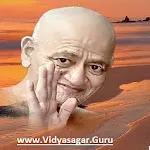 Acharya Shree Vidyasagar (Jain | Indus Appstore | App Icon