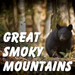 Great Smoky Mountains NP Guide | Indus Appstore | App Icon