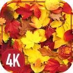 Leaves cool wallpaper | Indus Appstore | App Icon