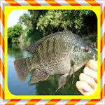 Tilapia Cultivation | Indus Appstore | App Icon