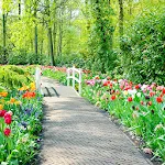 Spring Garden Wallpaper | Indus Appstore | App Icon