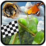 Insect Race | Indus Appstore | App Icon