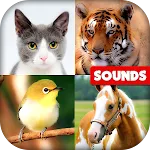 Animal Sounds: With Images | Indus Appstore | App Icon