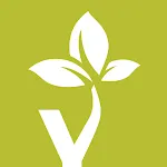 Yoga Tree | Indus Appstore | App Icon