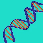 DNA Relationship Finder | Indus Appstore | App Icon