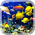 Real Aquarium Live Wallpaper | Indus Appstore | App Icon