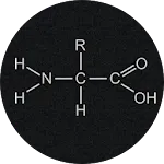 Amino Acids Quiz | Indus Appstore | App Icon