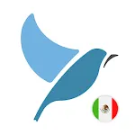 Learn Mexican Spanish. Speak M | Indus Appstore | App Icon