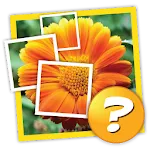 1 Pic 1 Word: What's the word? | Indus Appstore | App Icon