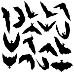 Bats Sound | Indus Appstore | App Icon