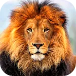 Animal Wallpaper 2023 | Indus Appstore | App Icon