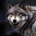 Wolf Wallpaper HD: Backgrounds | Indus Appstore | App Icon