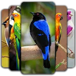 Birds Wallpaper | Indus Appstore | App Icon