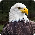 Eagle Wallpapers,Puzzle | Indus Appstore | App Icon