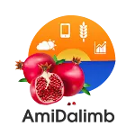 Amidalimb | Indus Appstore | App Icon