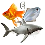 Fish Types | Goldfish Saltwate | Indus Appstore | App Icon