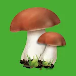 Edible mushroom | Indus Appstore | App Icon