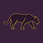 VPN Panther: Express & Secure | Indus Appstore | App Icon